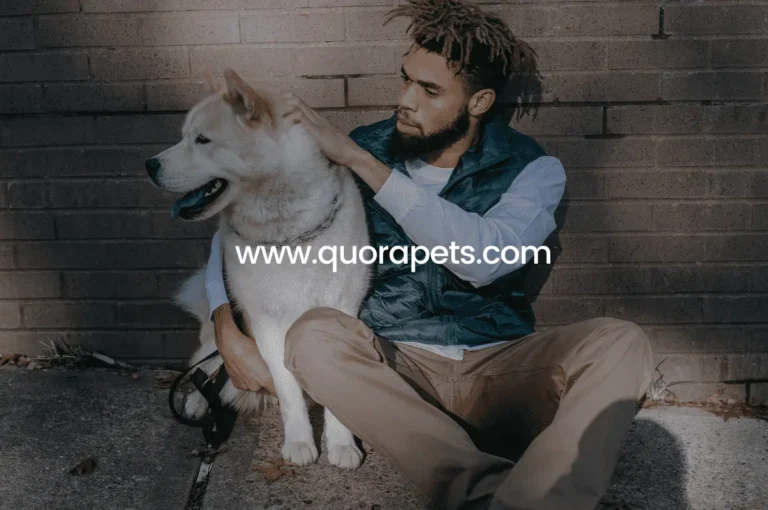  تعلم كيف تستطيع تربية الكلاب في المنزل