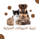 تربية الحيوانات المنزلية