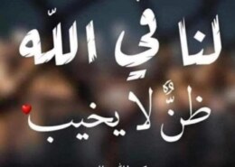 تنظيف القطط