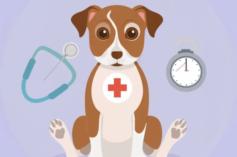 التهاب البنكرياس عند الكلاب : الأعراض والعلاج