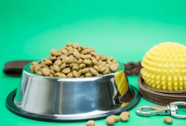 ماهي مستلزمات الكلاب الضروية لصحتها وسعادتها؟