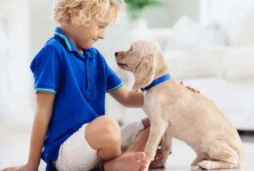 هل كلاب الحراسة مناسبة للعائلات والأطفال؟