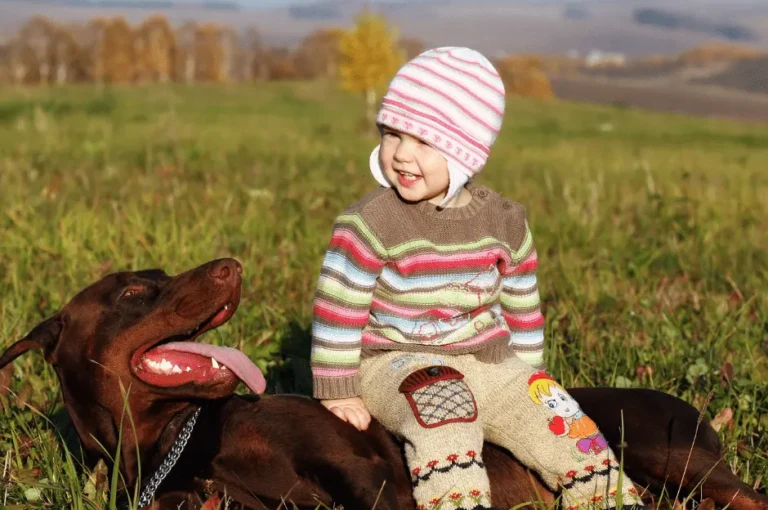 هل كلاب دوبر مان مناسبة للأطفال؟