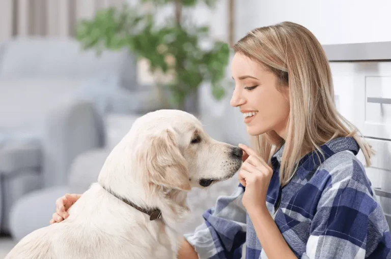 كيف تتبنى كلب جولدن ؟