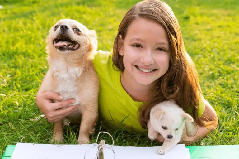 هل كلاب شيواوا مناسبة للأطفال؟