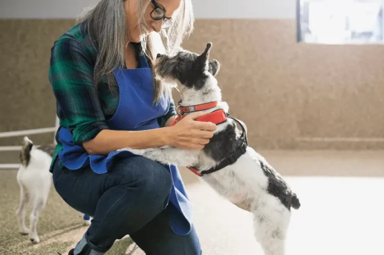 خطوات تدريب جرو البوليسي منذ الصغر
