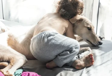 هل كلاب سلوقي مناسبة للأطفال؟