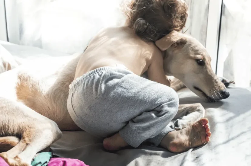 هل كلاب سلوقي مناسبة للأطفال؟