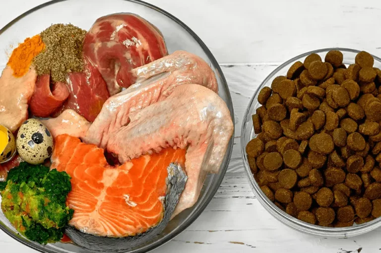 تعرف على أفضل أنواع أكل الكلاب