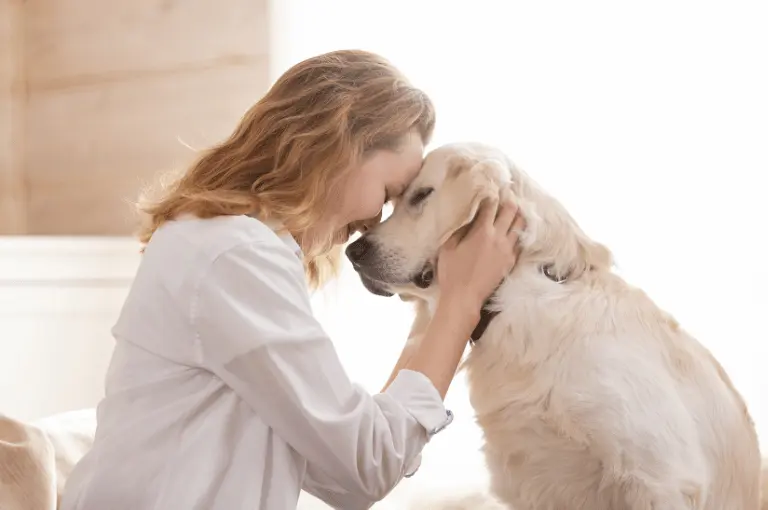 كيفية الوقاية من زنقة الكلاب