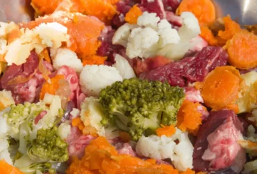 أفضل طعام لكلاب الكوكيجن