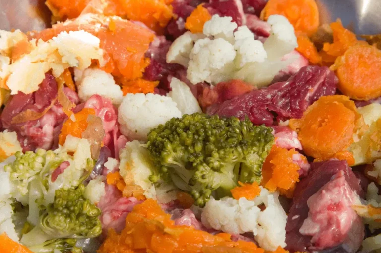 أفضل طعام لكلاب الكوكيجن