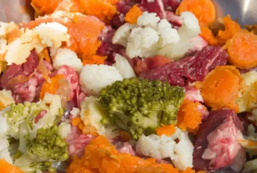 أفضل طعام لكلاب البلاك كود