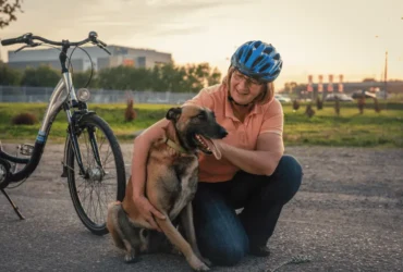 كيف تعتني بكلاب البلجيكي