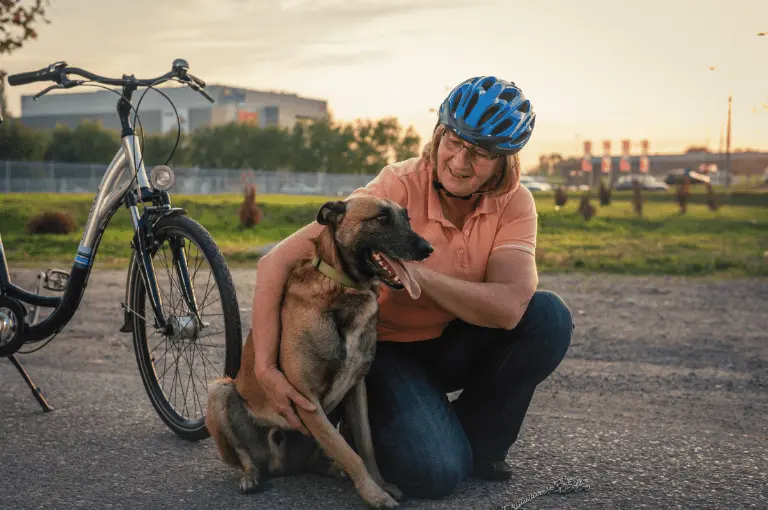 كيف تعتني بكلاب البلجيكي