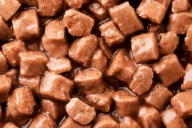 فوائد أكل الكلاب الرطب وكيفية تقديمه لكلبك