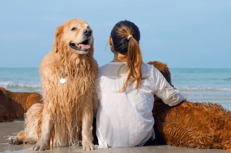 هل الكلاب الشرسة مناسبة للأطفال؟