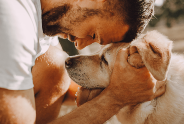 نصائح للعناية بنظافة الكلاب الشرسة