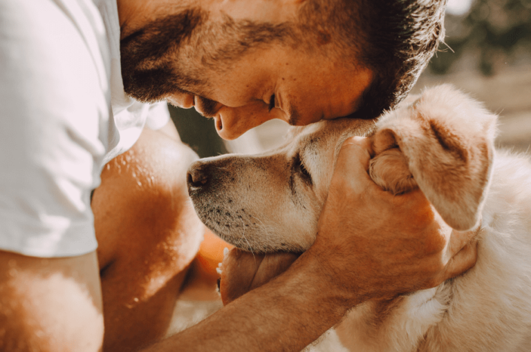 نصائح للعناية بنظافة الكلاب الشرسة