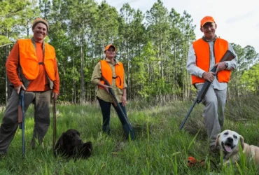 مميزات كلاب الصيد الصغيرة