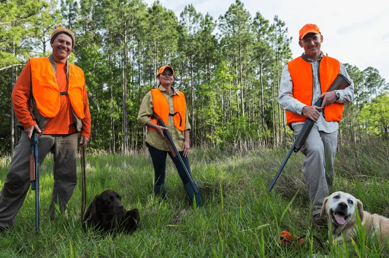 مميزات كلاب الصيد الصغيرة