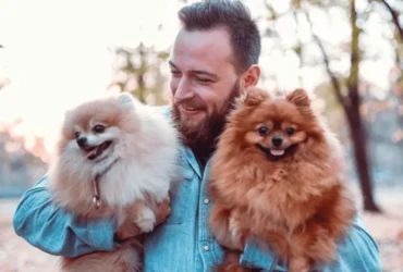 تعرف على أنواع الكلاب بيكنواه