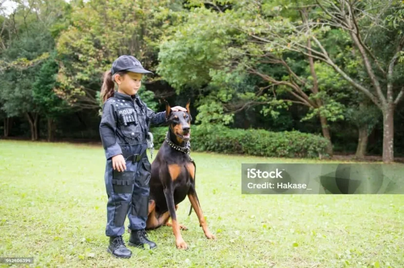 هل كلاب البوليسي مناسبة للأطفال ؟