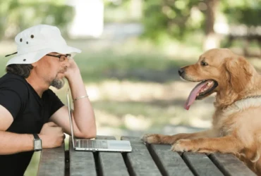 دليل شامل لتدريب الكلاب الرومي