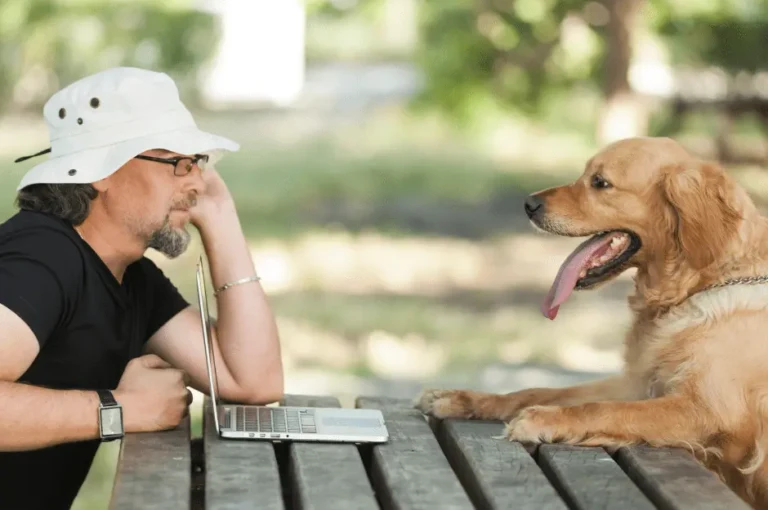 دليل شامل لتدريب الكلاب الرومي