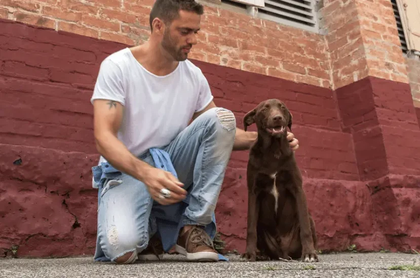 تصرفات كلاب الشوارع وكيفية التعامل معها