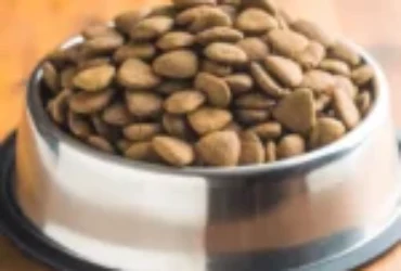 ماهو دراي فود خالي من الحبوب؟