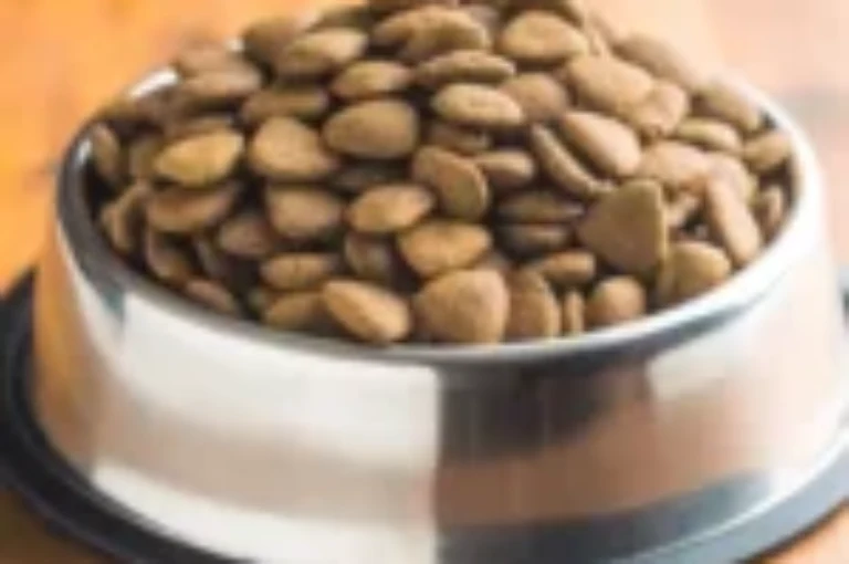 ماهو دراي فود خالي من الحبوب؟