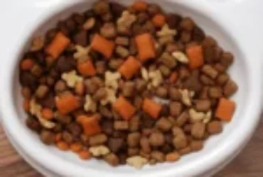 الاكل الجاف للقطط : دليل شامل