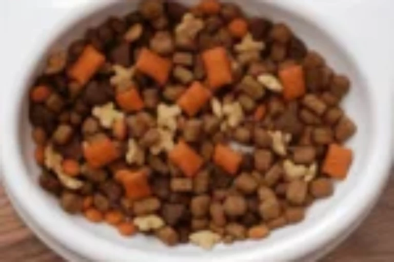 الاكل الجاف للقطط : دليل شامل