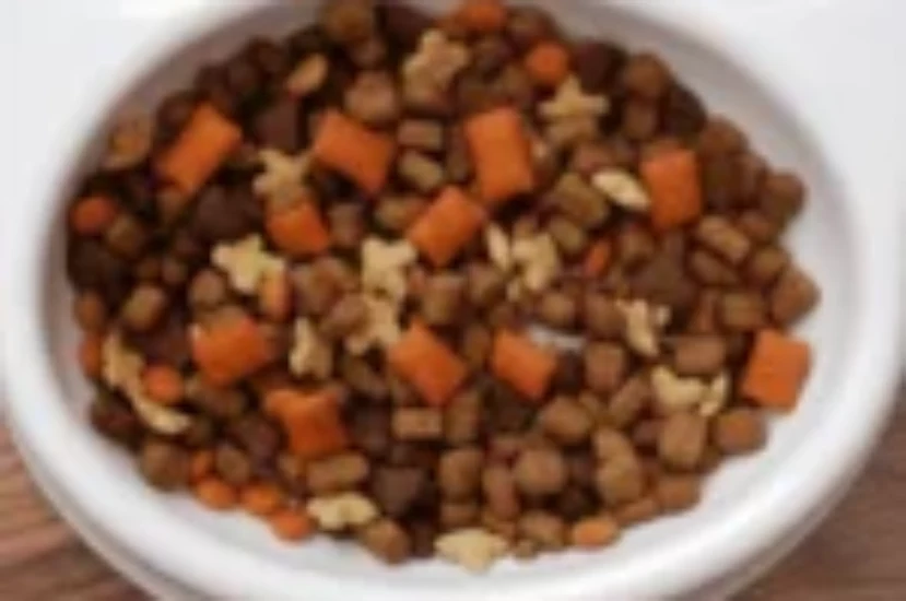 الاكل الجاف للقطط : دليل شامل