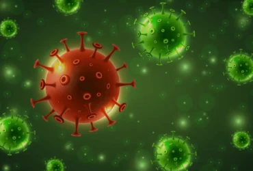 علاج التهاب الرئة البكتيري عند القطط