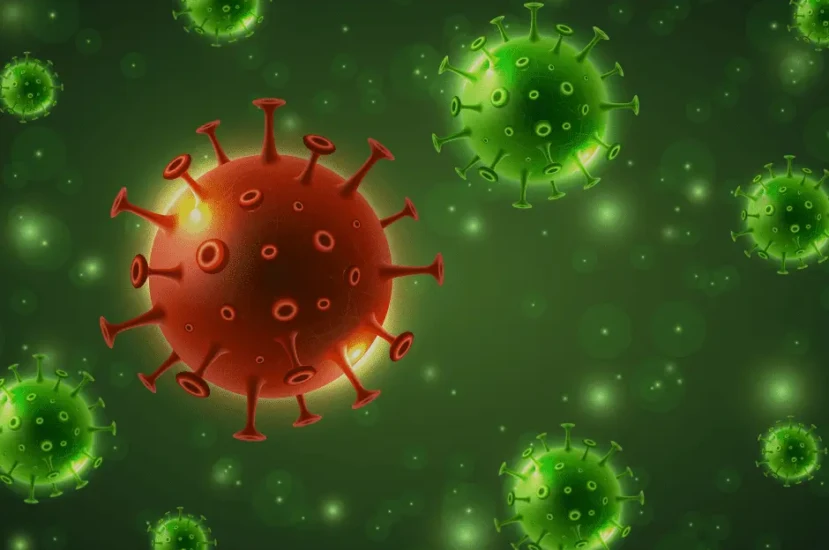 علاج التهاب الرئة البكتيري عند القطط