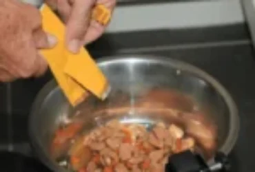 طعام القطط الرطب: فوائده لقطتك ومقدار تقديمه