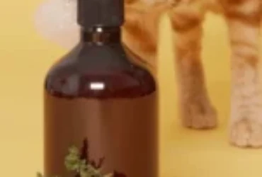 كيف تختار شامبو للقطط لحماية فرو قطتك من الحشرات والأوساخ؟