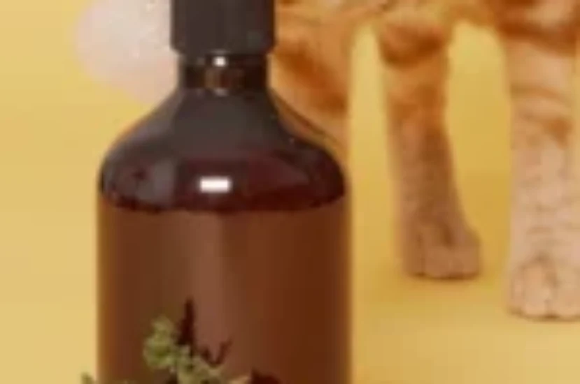 كيف تختار شامبو للقطط لحماية فرو قطتك من الحشرات والأوساخ؟