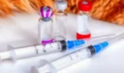 تطعيمات القطط الأساسية: حماية قطتك من اخطر الامراض