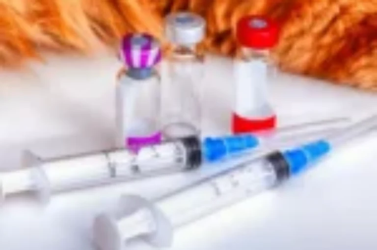 تطعيمات القطط الأساسية: حماية قطتك من اخطر الامراض