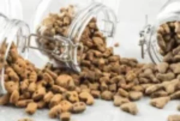 مكونات دراي فود للقطط: أفضل المكونات لضمان تغذية صحية لقطتك