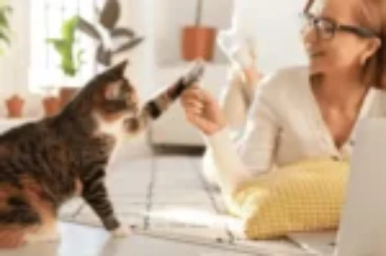 تعرف على أهم صفات القطط الاليفة