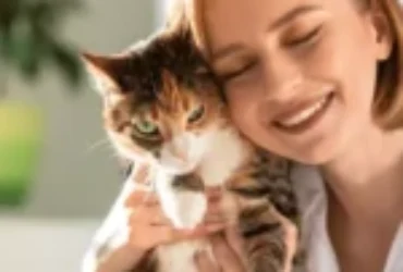 عمر القطط بالنسبة للانسان: حقائق مذهلة يجب معرفتها