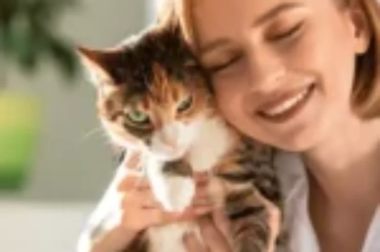 عمر القطط بالنسبة للانسان: حقائق مذهلة يجب معرفتها