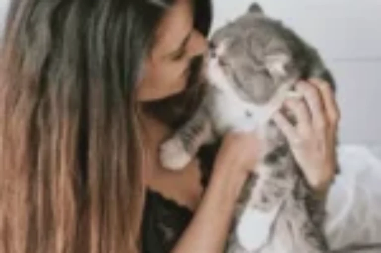 ماهي فوائد القطط في المنزل وإيجابياتها الصحية و النفسية و الإجتماعية