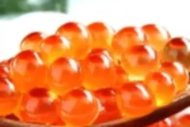 فوائد زيت السلمون للقطط: طعم شهي وفوائد صحية متكاملة للقطط