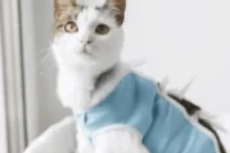 فوائد تعقيم القطط في تحسين سلوكها وتقليل المشاكل المنزلية