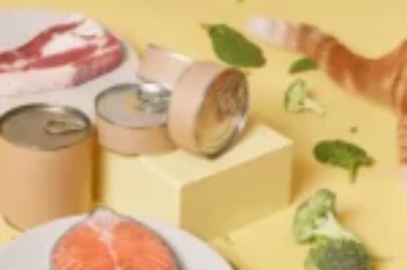 دليل شامل لتحضير اكل قطط منزلي صحي لقطتك